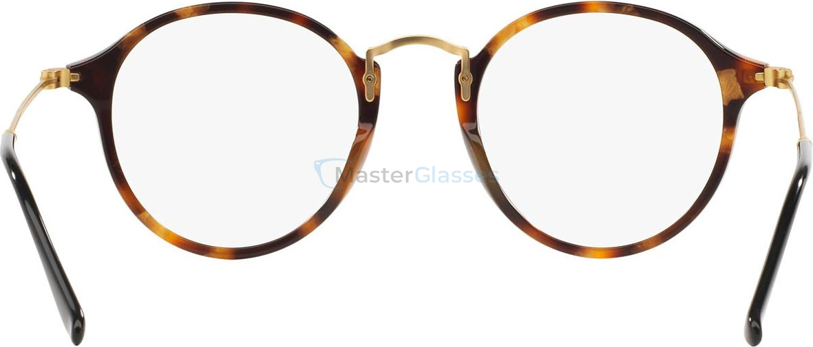  Ray-Ban Round Icon RX2447V 5494