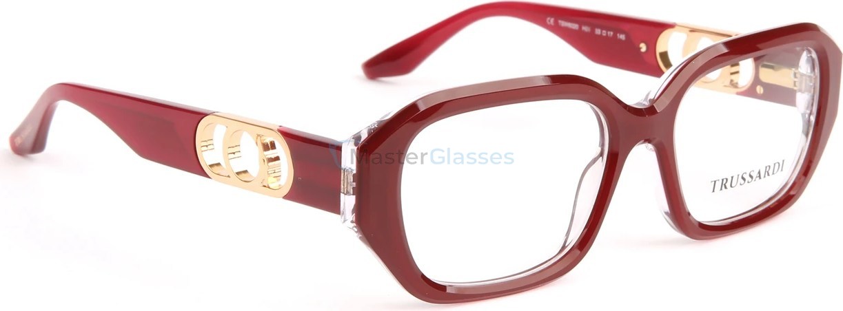  Trussardi TSW6020 H01