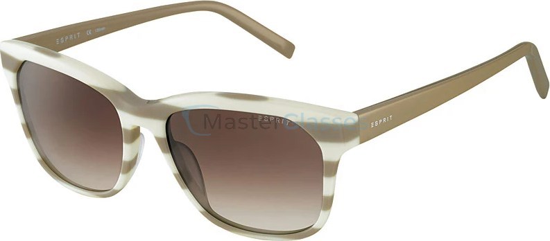   Esprit 17884-565 et