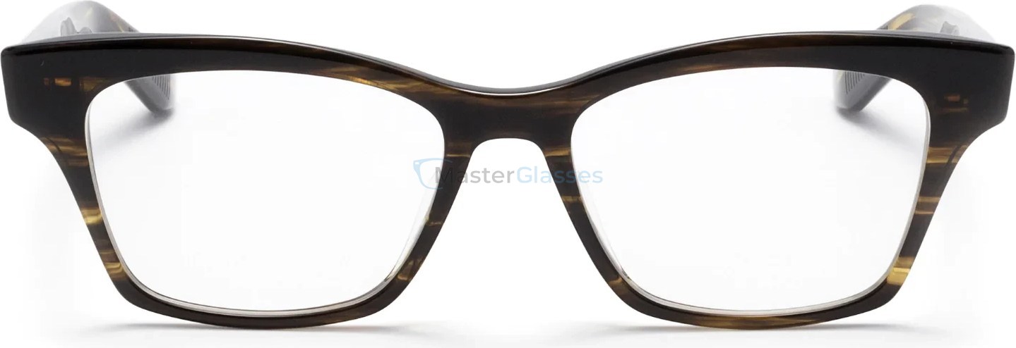  AKONI VISTA TRT,  DARK TORTOISE, CLEAR