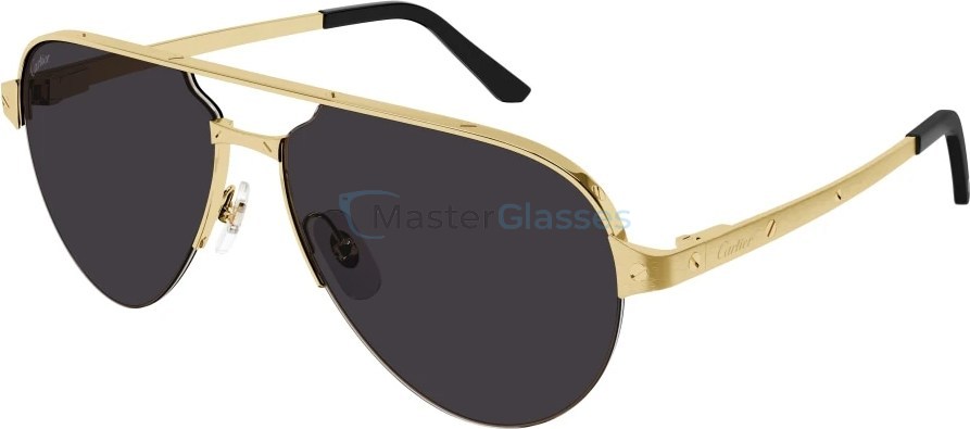   Cartier CT0386S-001 60