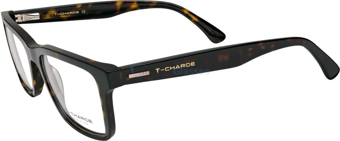  T-Charge T6244 G21