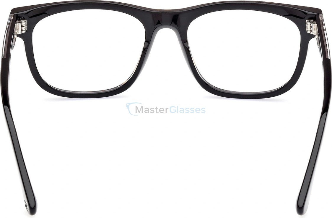  Web Eyewear WE  5422 056 54