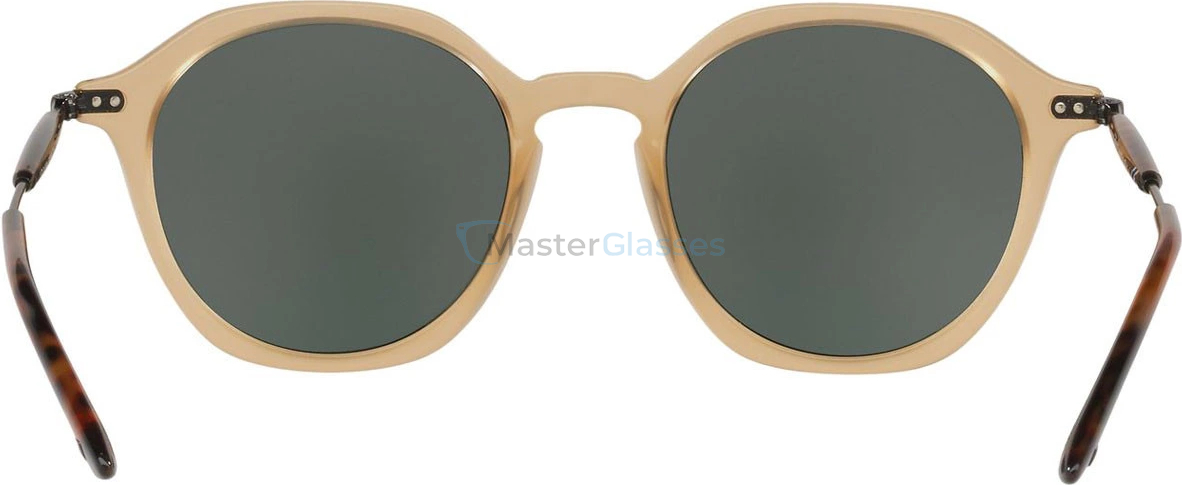 Солнцезащитные очки Giorgio Armani AR8109 502871 Beige