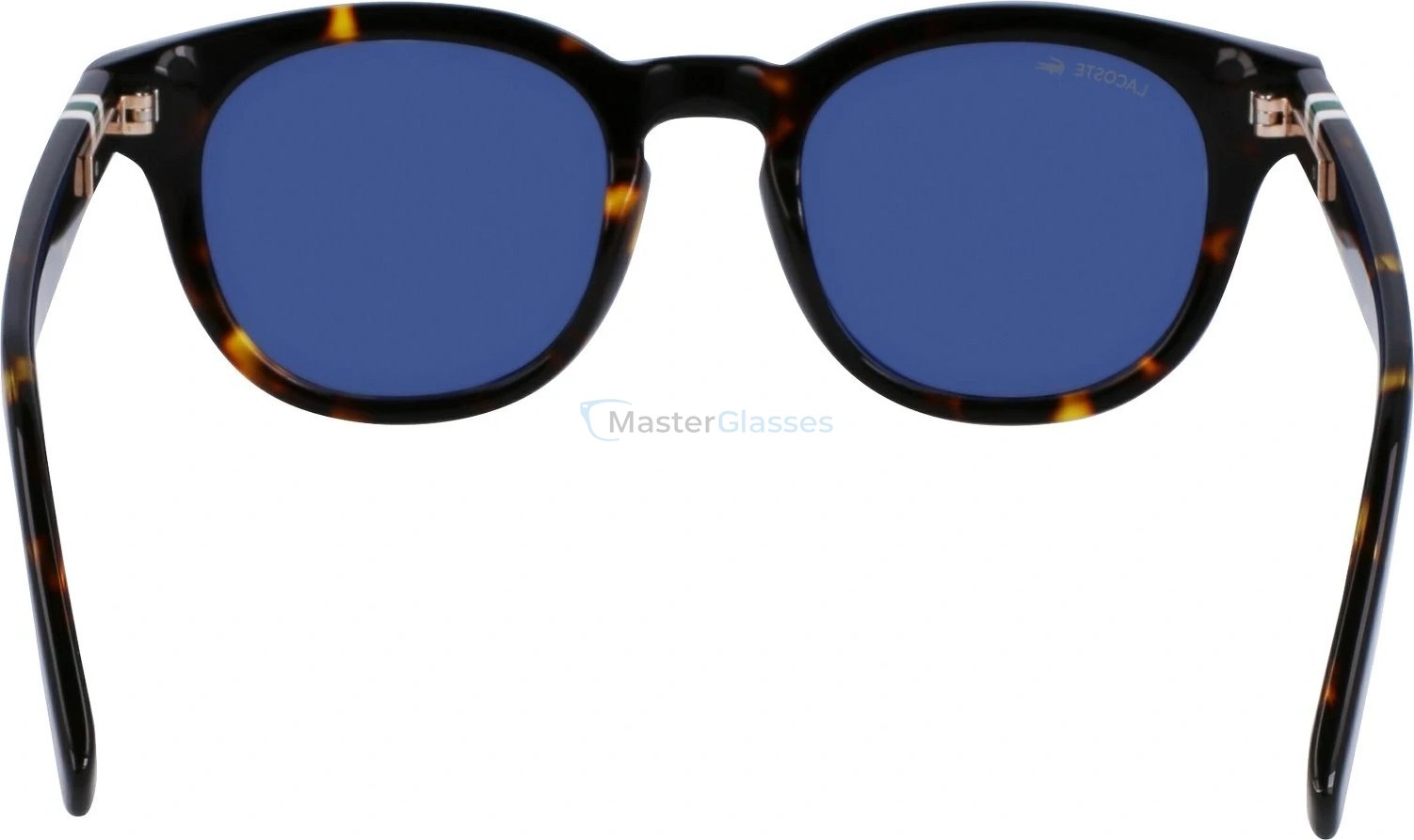   LACOSTE L6006S 230,  DARK HAVANA, BLUE