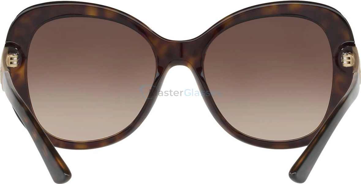 �������������� ���� Bvlgari BV8199B 504/13 Dark Havana