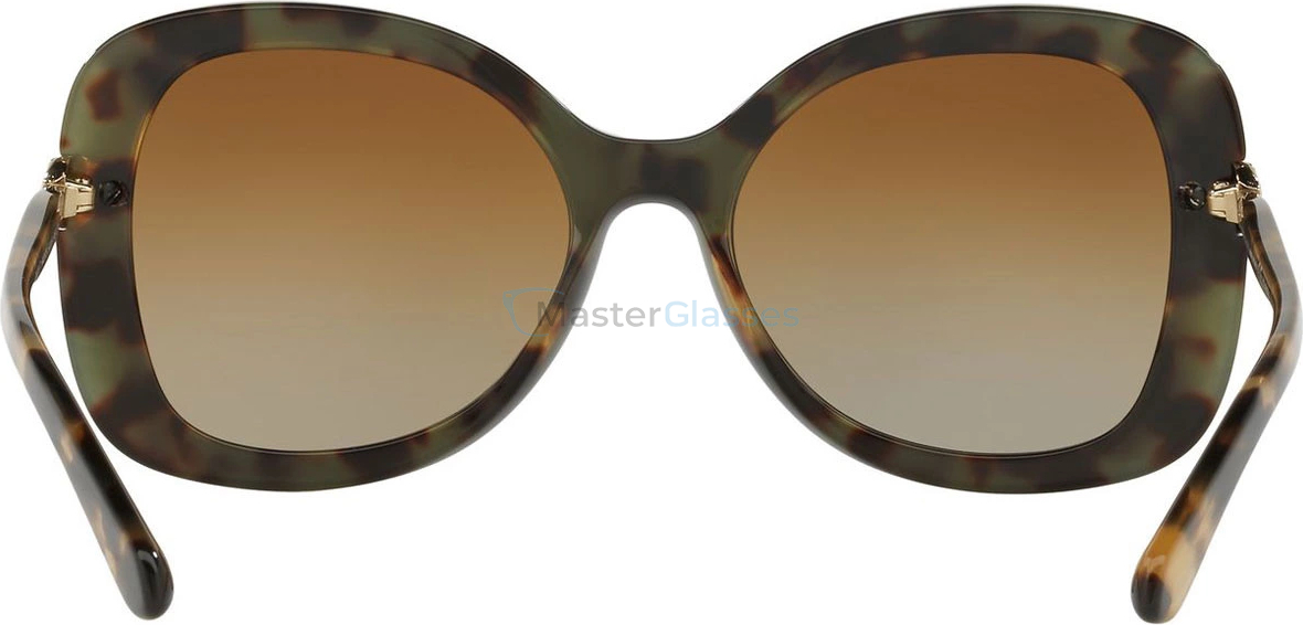 Солнцезащитные очки Bvlgari BV8202B 5443T5 Top Black On Blonde Havana