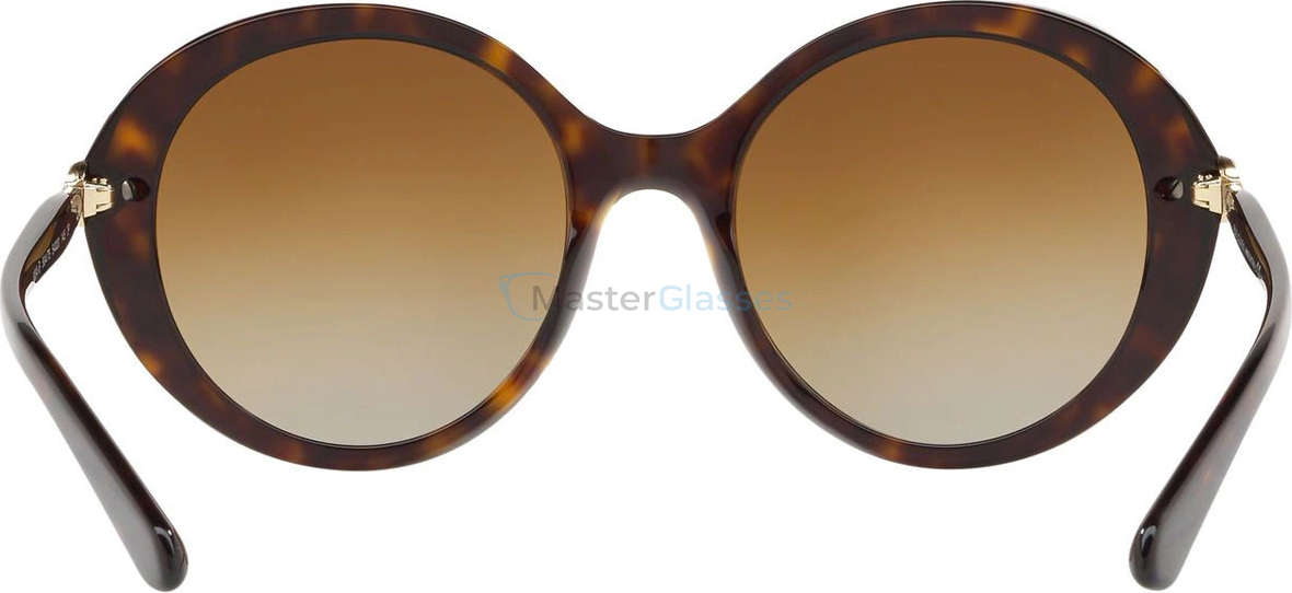 �������������� ���� Bvlgari BV8204B 504/T5 Dark Havana