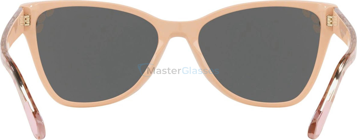 �������������� ���� Bvlgari BV8208 54564Z Top Transparent On Pink