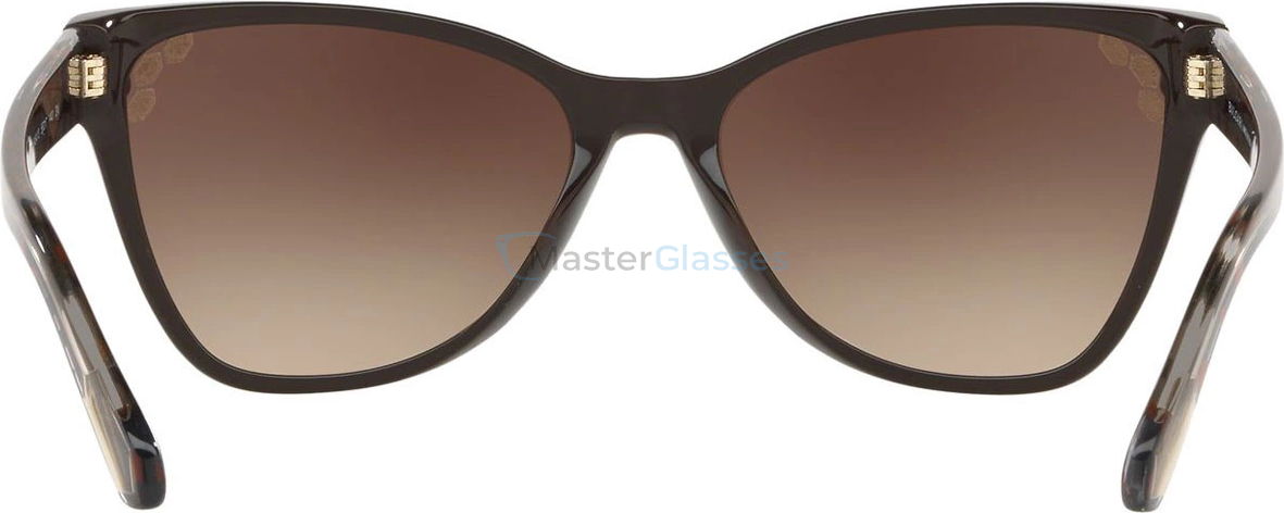 Солнцезащитные очки Bvlgari BV8208 545413 Top Transparent On Brown