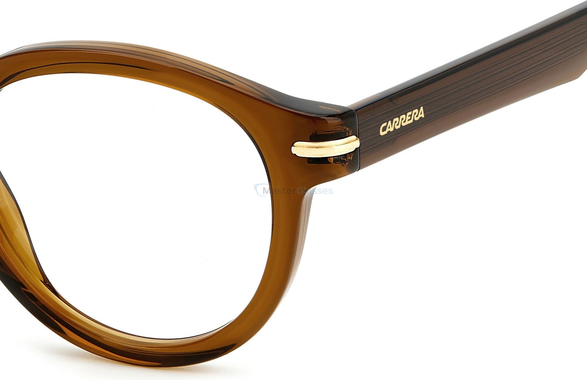  Carrera 313 09Q Brown