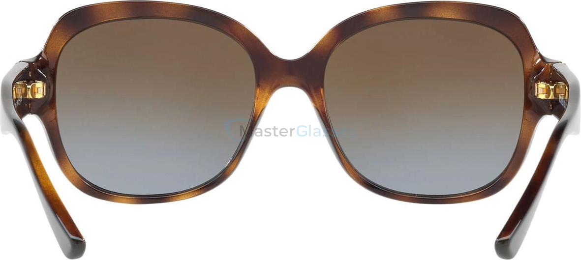 Michael Kors Suz MK2055 3285T5 Polarized