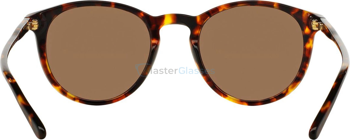 Polo Солнцезащитные очки Ralph Lauren PH4110 513473