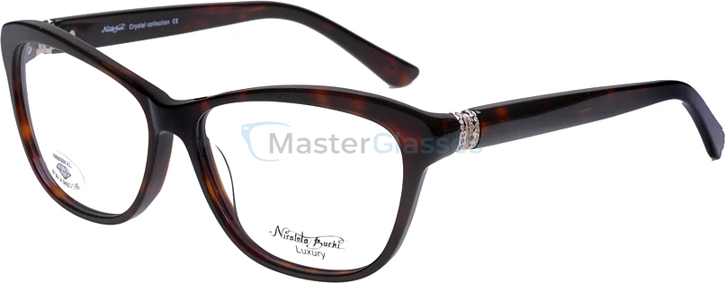  Nicoleta Buchi 523 02