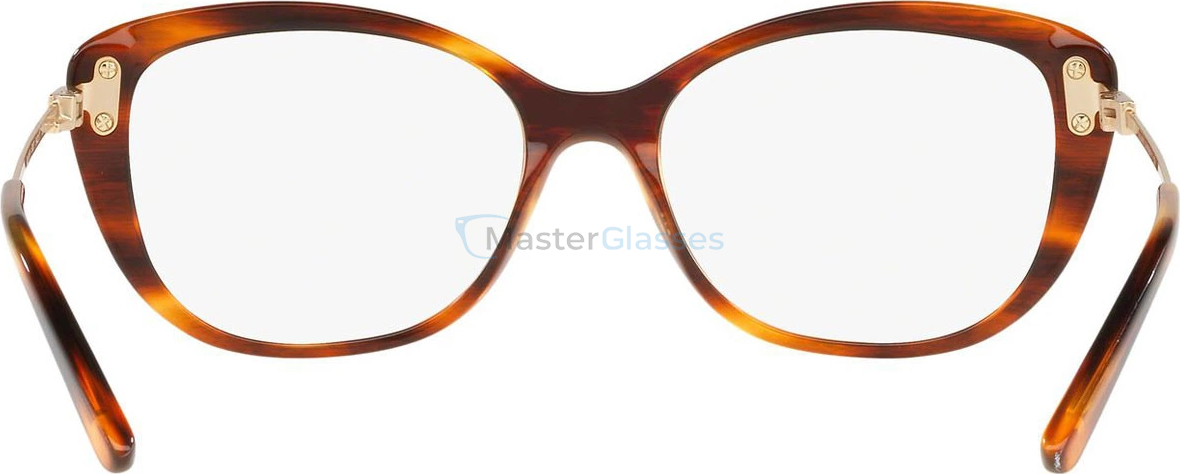 ������ Ralph Lauren RL6174 5007