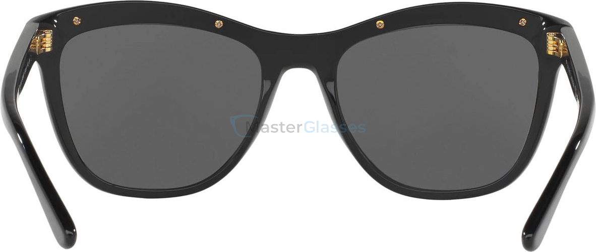 �������������� ���� Ralph Lauren RL8150 500187