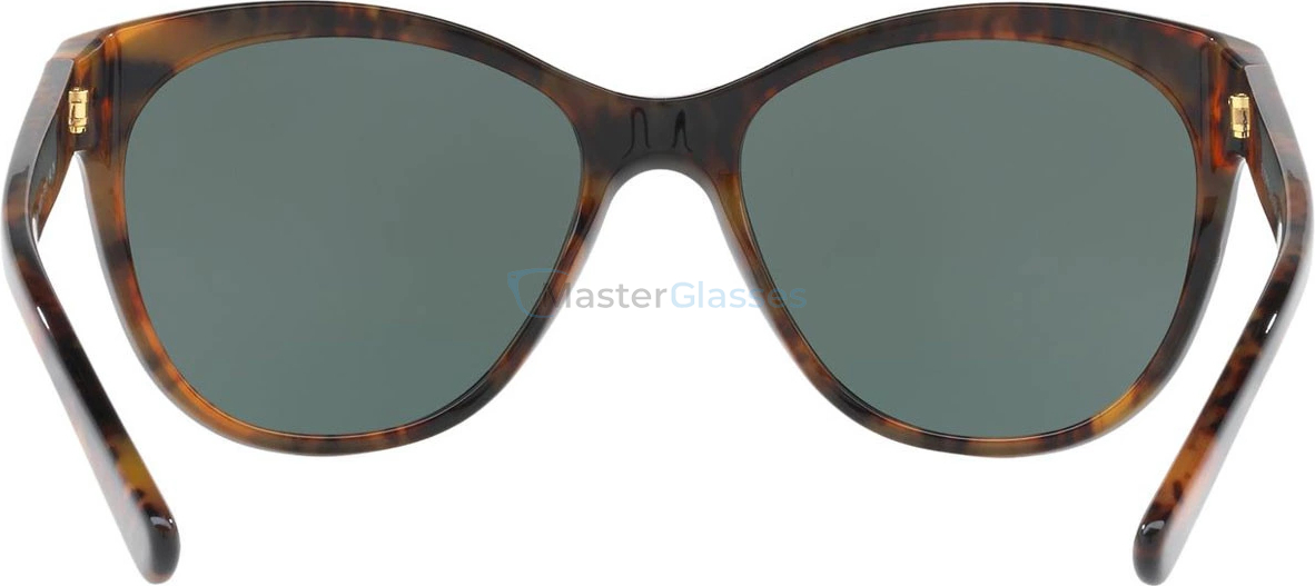 �������������� ���� Ralph Lauren RL8156 526071 Top Black/havana Jerry