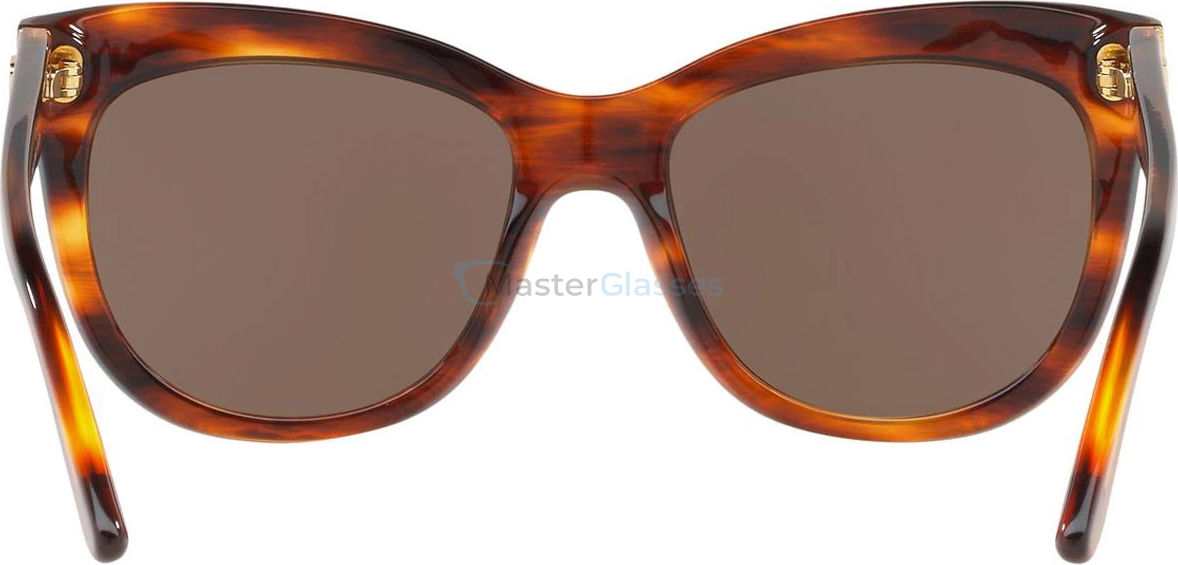 �������������� ���� Ralph Lauren RL8158 500773 Stripped Brown Havana