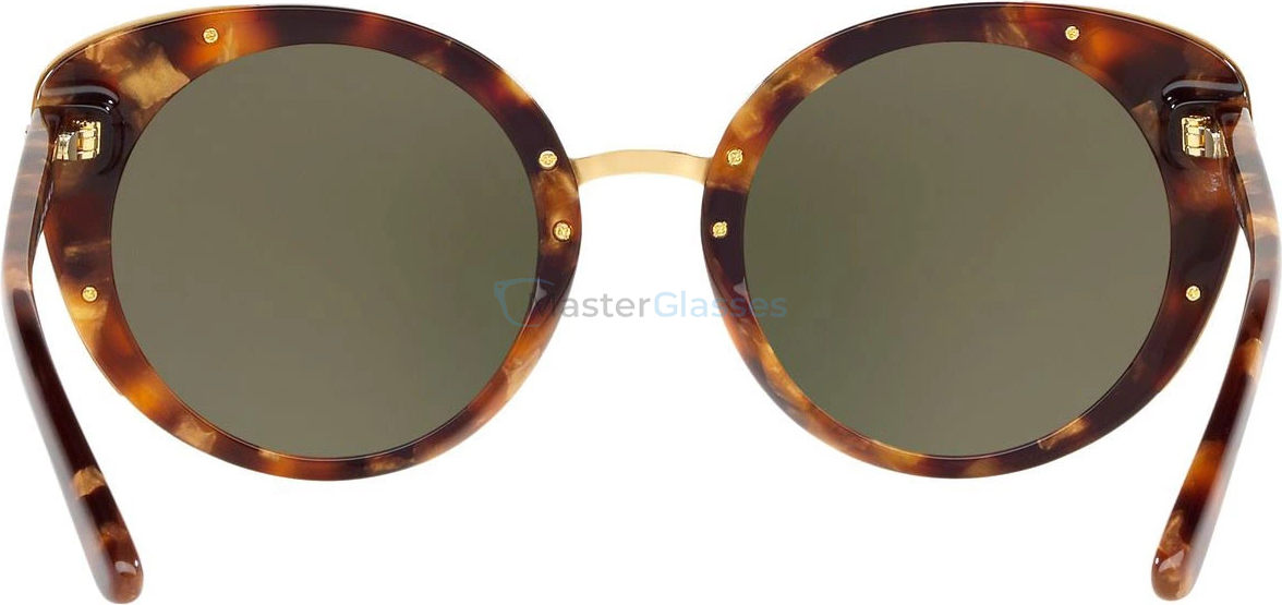 �������������� ���� Ralph Lauren RL8165 5615TP