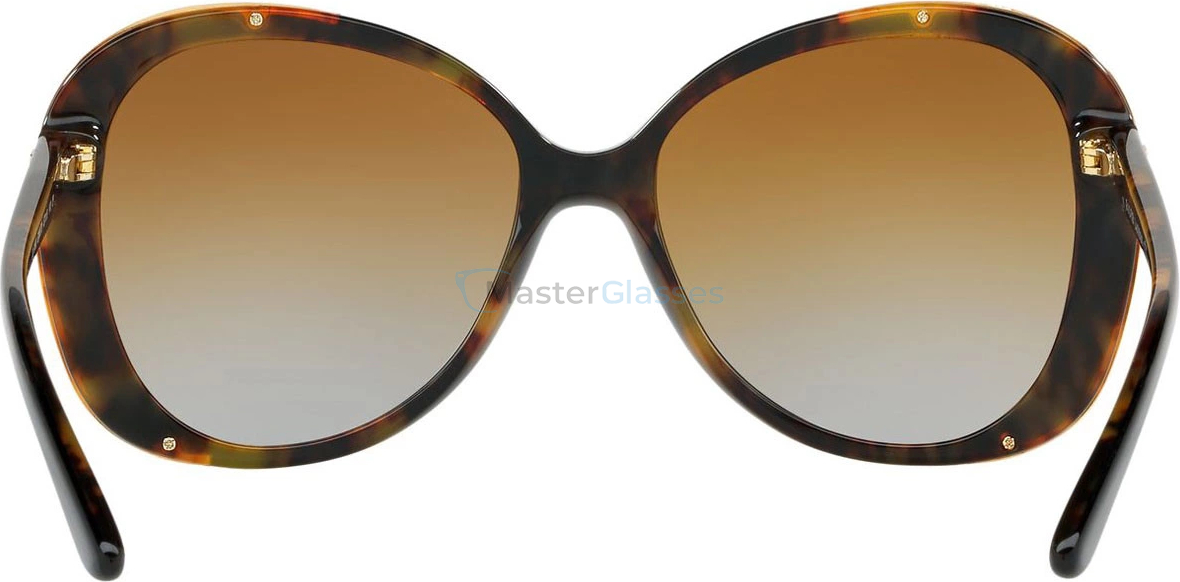 �������������� ���� Ralph Lauren RL8166 5260T5 Polarized