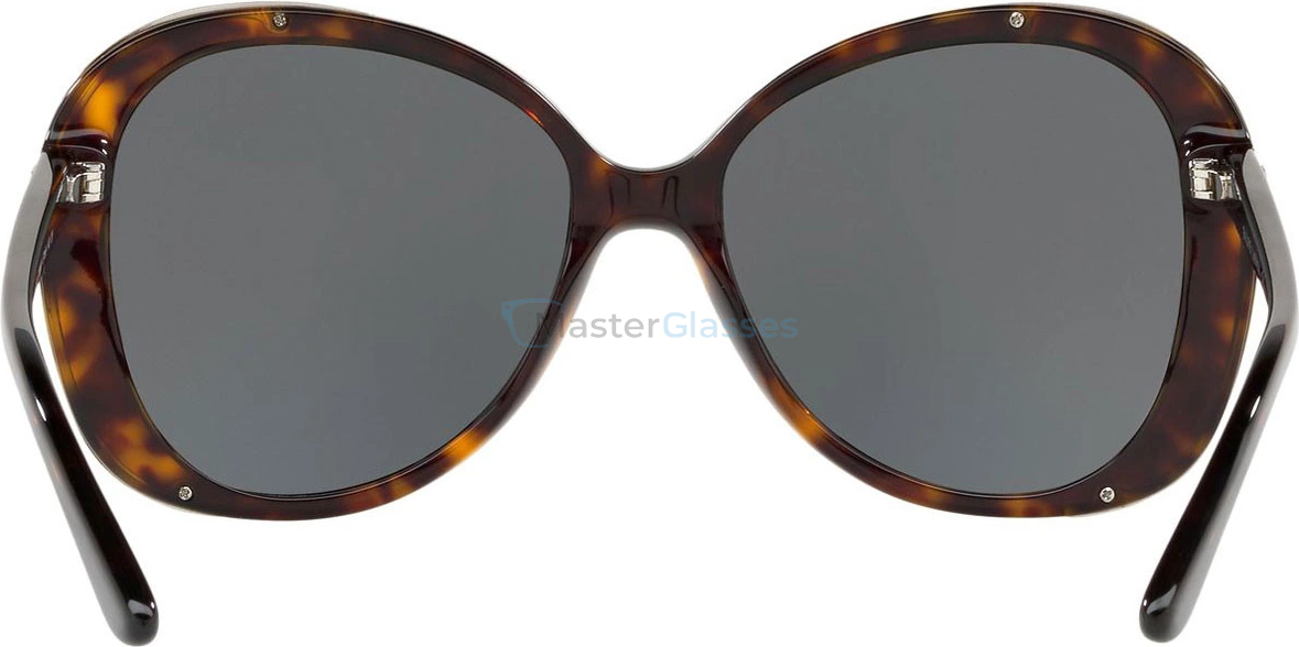 Солнцезащитные очки Ralph Lauren RL8166 500387