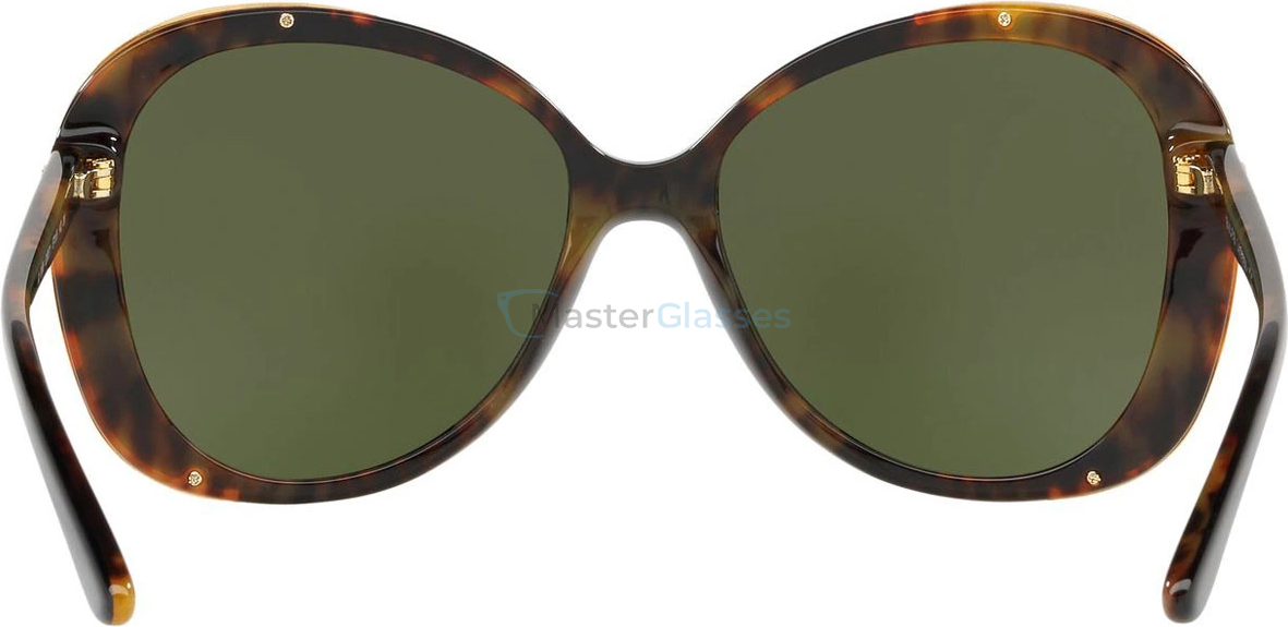 Солнцезащитные очки Ralph Lauren RL8166 526071