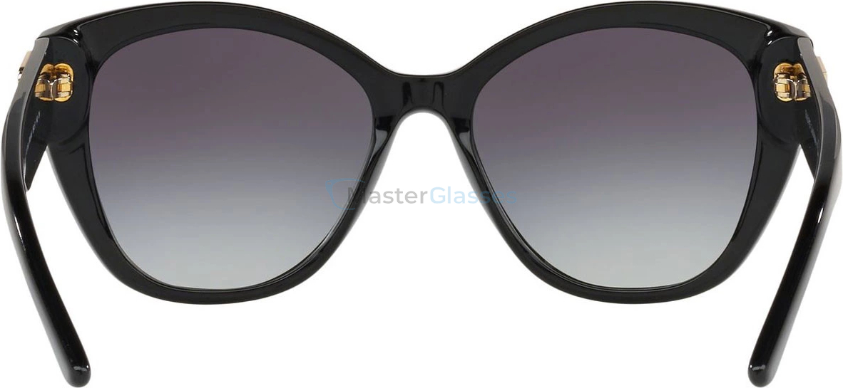 �������������� ���� Ralph Lauren RL8168 50018G