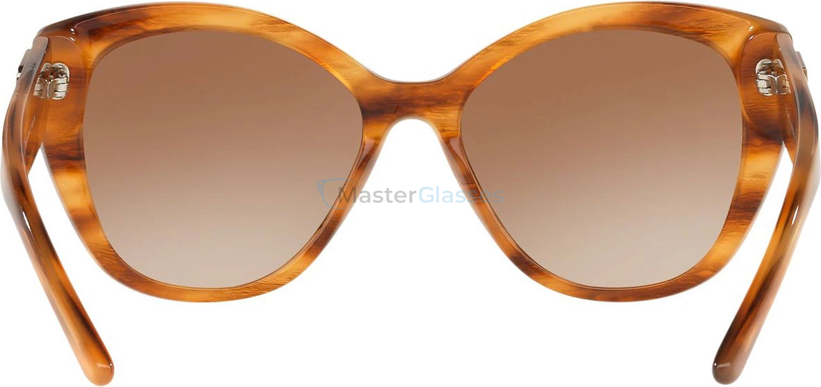 Солнцезащитные очки Ralph Lauren RL8168 570313