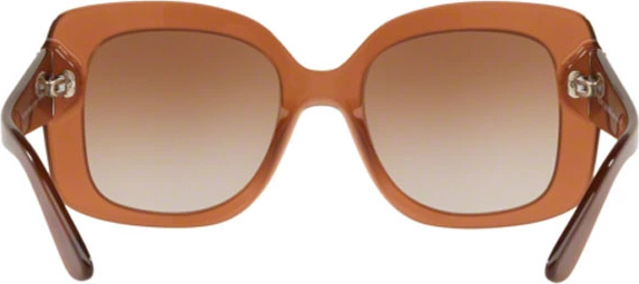 Солнцезащитные очки Ralph Lauren RL8169 572513