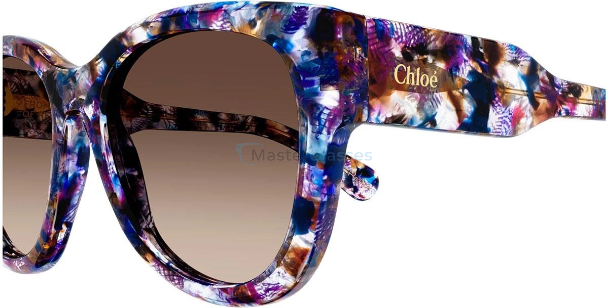 Chloe CH0192S-003 55  