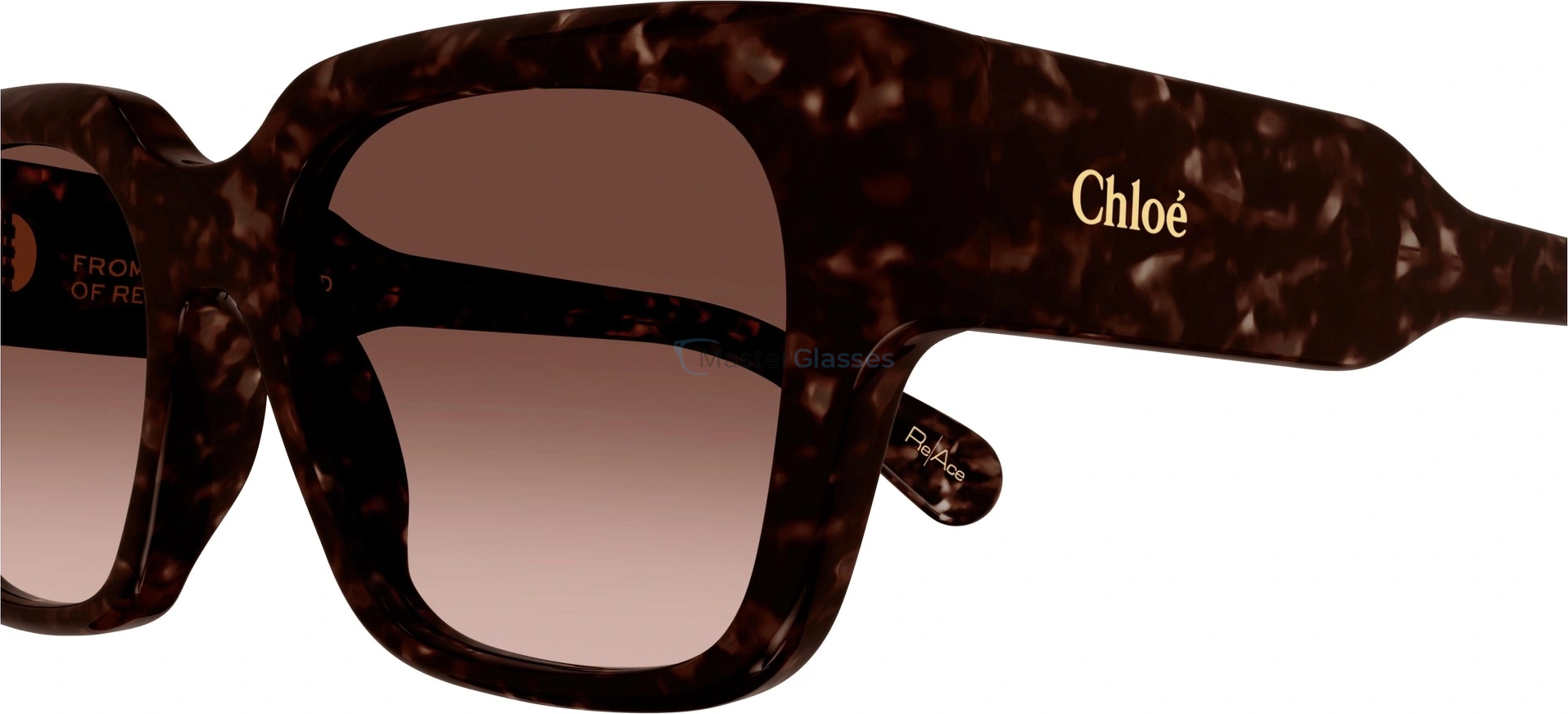 Chloe CH0190S-002 54  