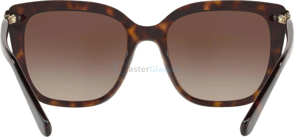 �������������� ���� Bvlgari BV8207B 504/13 Dark Havana