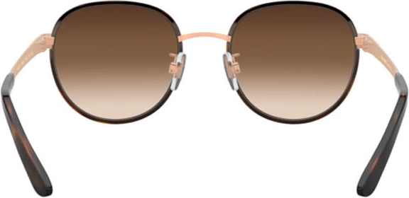 Солнцезащитные очки Dolce & Gabbana DG2227J 129813 Havana/rose Gold