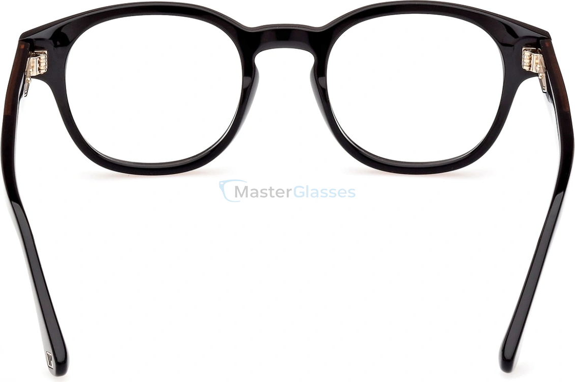  Web Eyewear WE 5411 01A 51