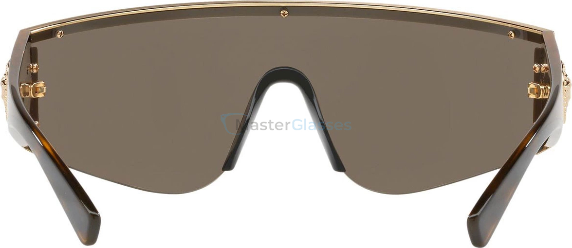 Солнцезащитные очки Versace VE2197 10005A