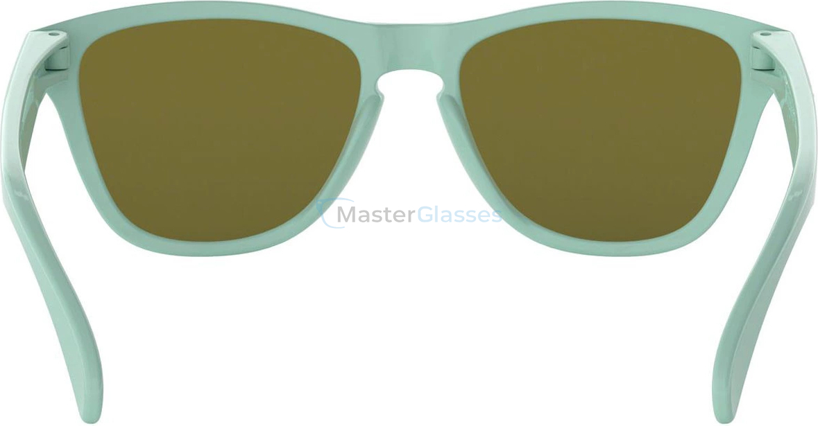 Oakley Frogskins XS OJ9006-06