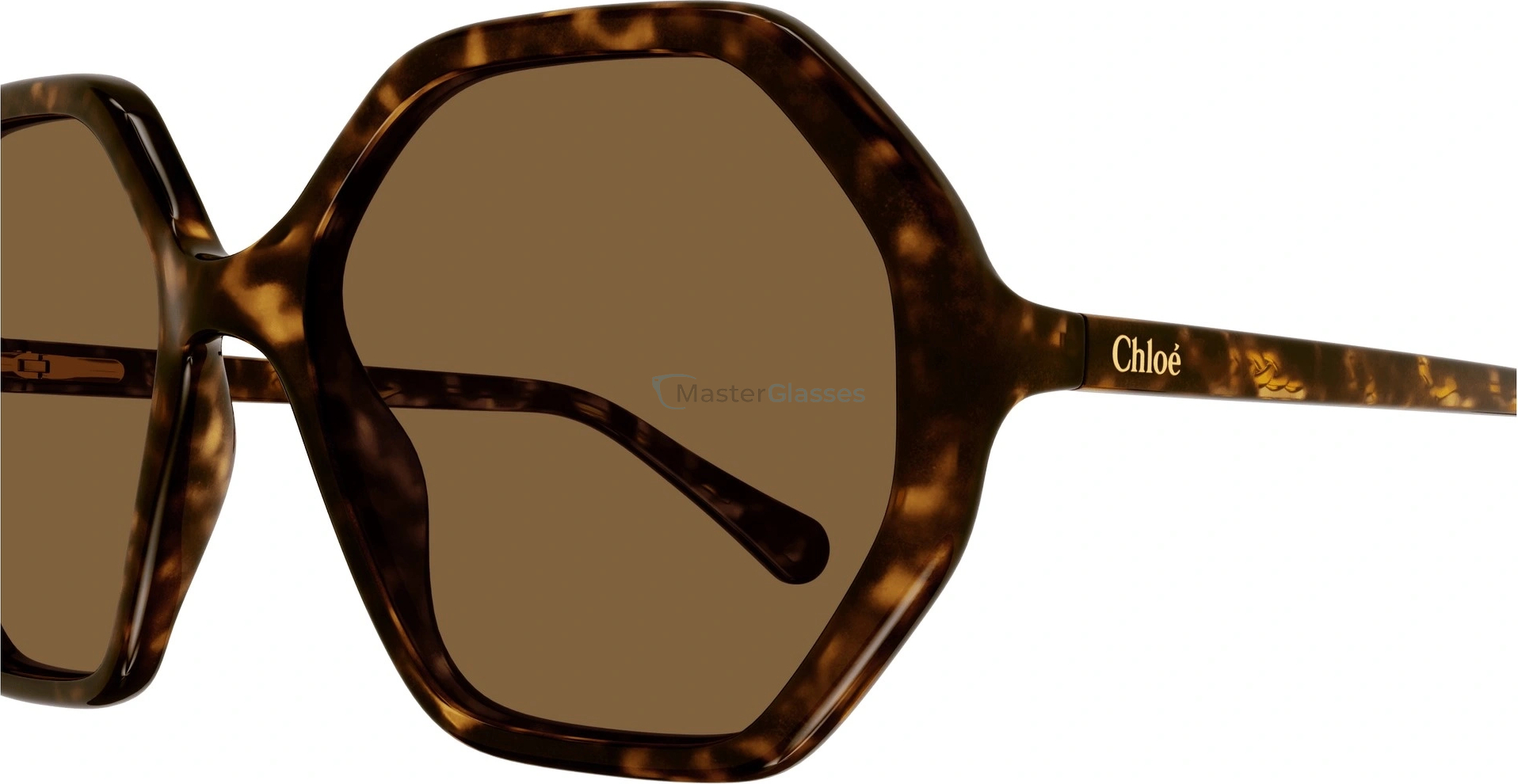Chloe CC0004S-008 51  