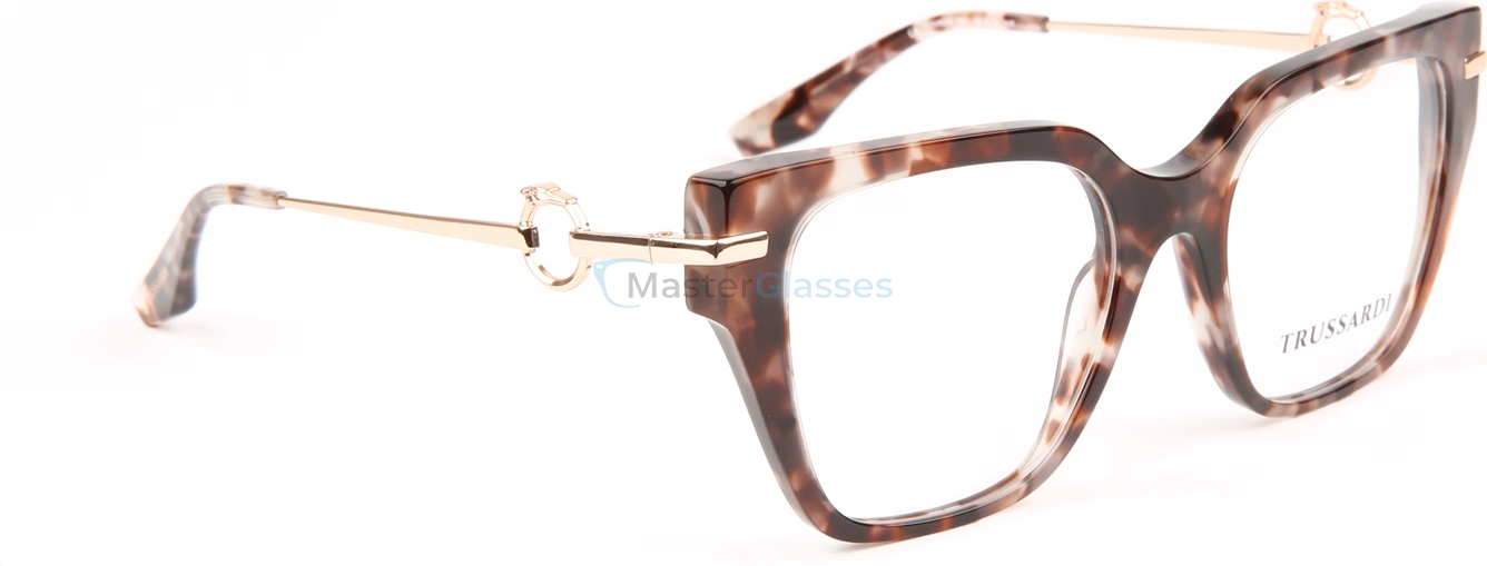  Trussardi TSW6038, G21