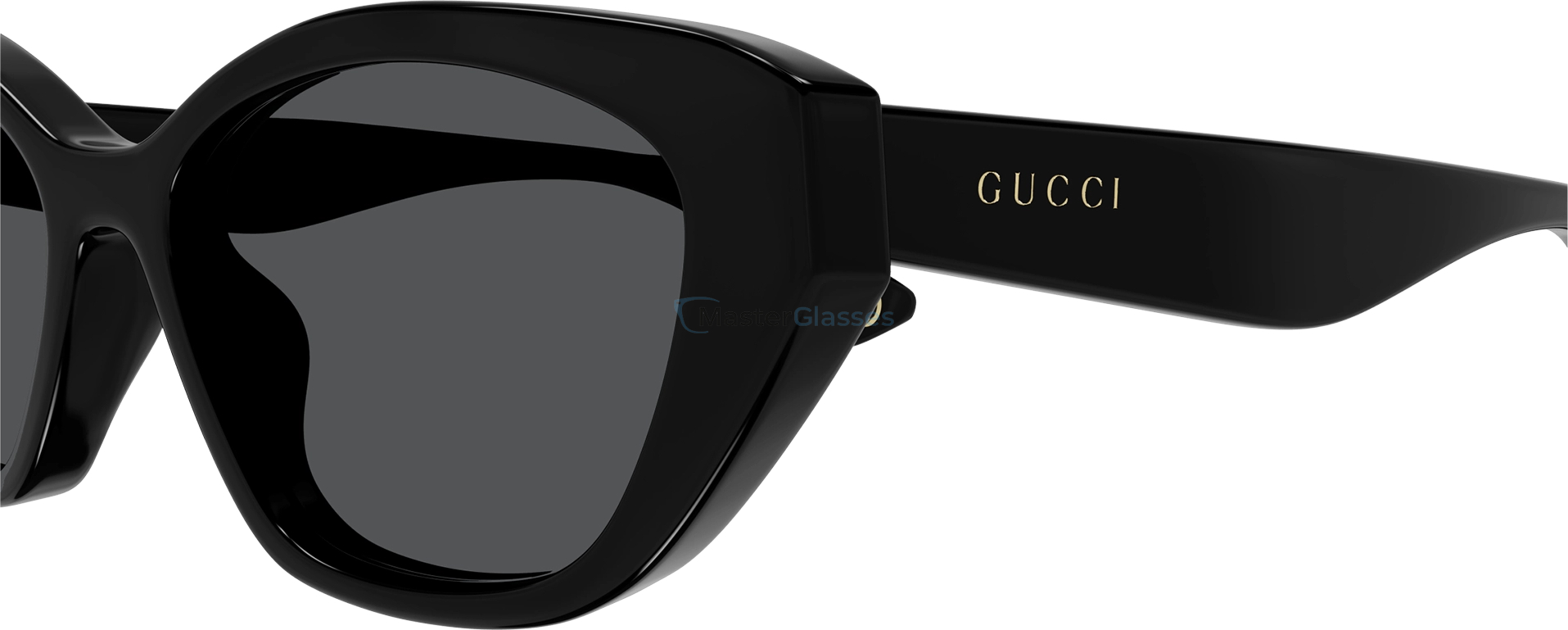 Gucci GG1638SA-001 55  