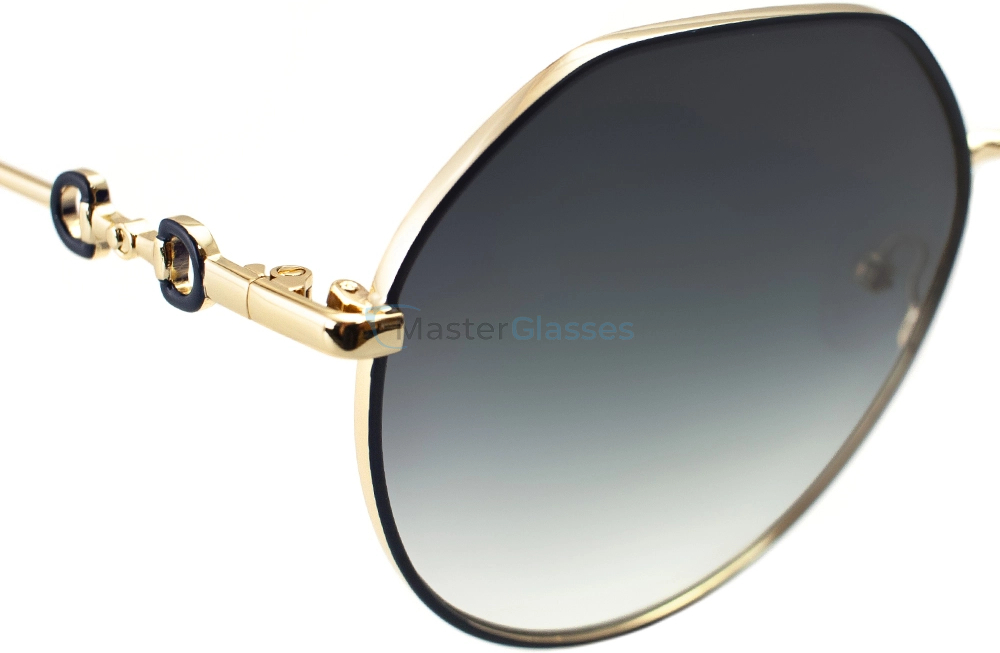 �������������� ���� Valentin Yudashkin VY 302S C12 59