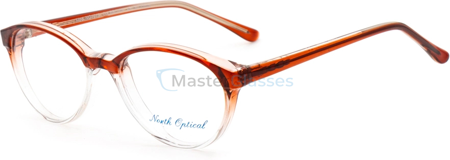  NORTH OPTICAL NO1019,  BROWN, CLEAR