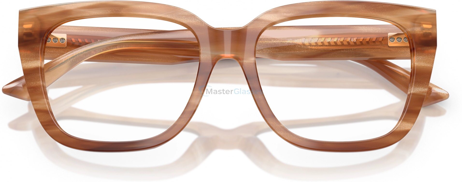  Jimmy Choo JC3019B 5055 Brown