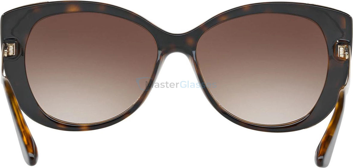 Солнцезащитные очки Bvlgari BV8178 977/13 Dark Havana