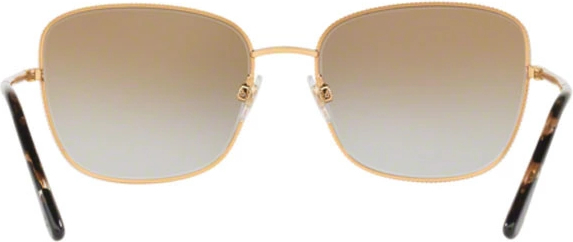 �������������� ���� Dolce & Gabbana DG2223 02/6E