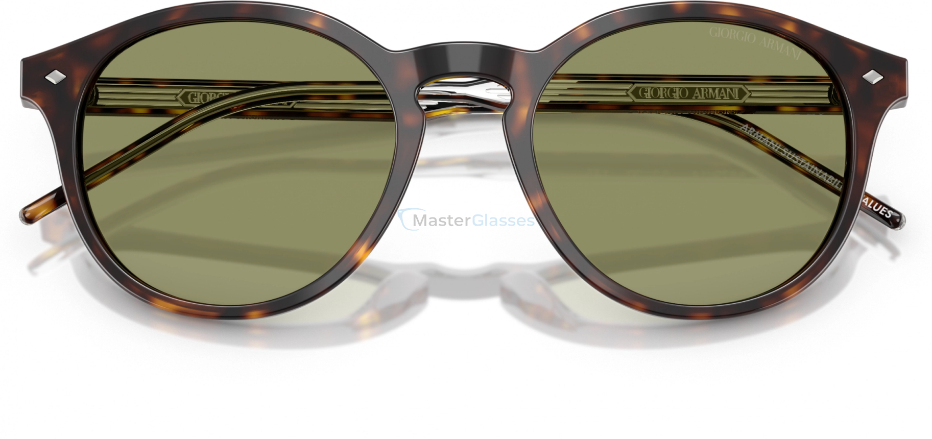   Giorgio Armani AR8211 587914 Tortoise