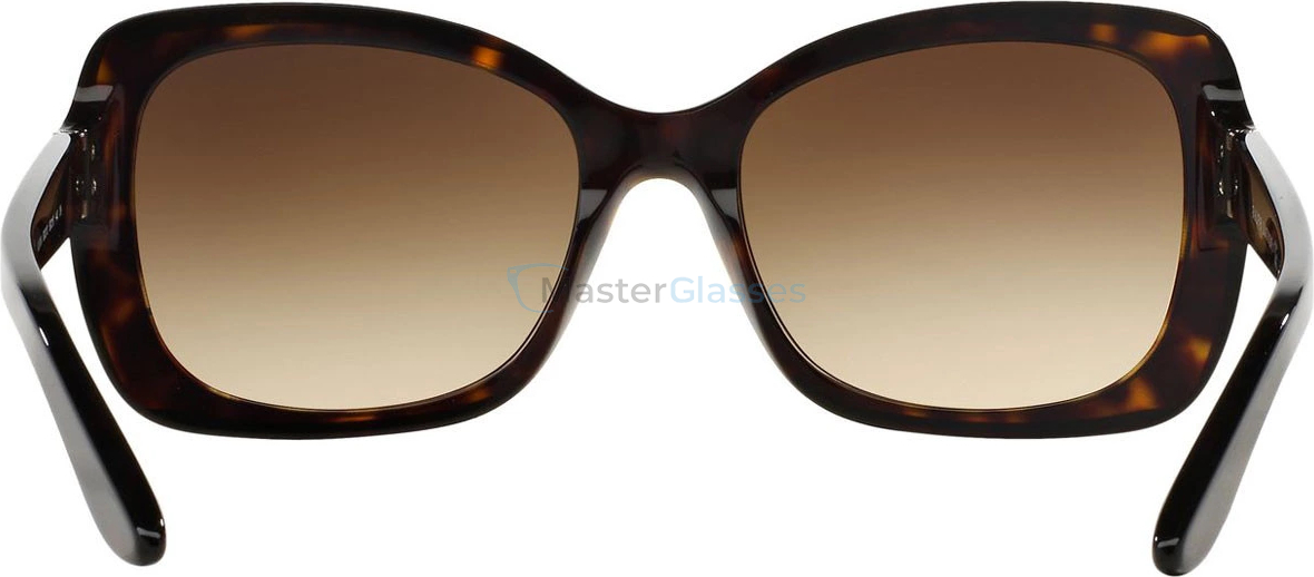   Ralph Lauren RL8134 500313