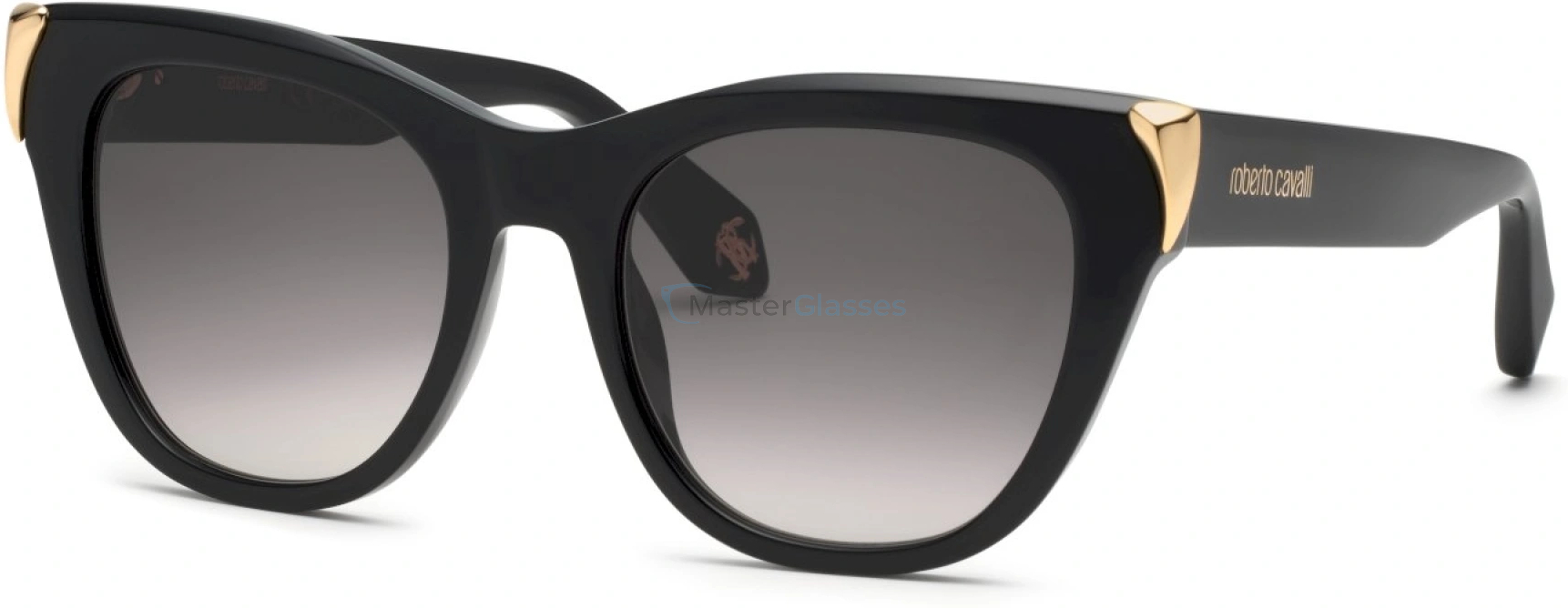   ROBERTO CAVALLI SRC095M 700,  SHINY BLACK, SMOKE GRADIENT