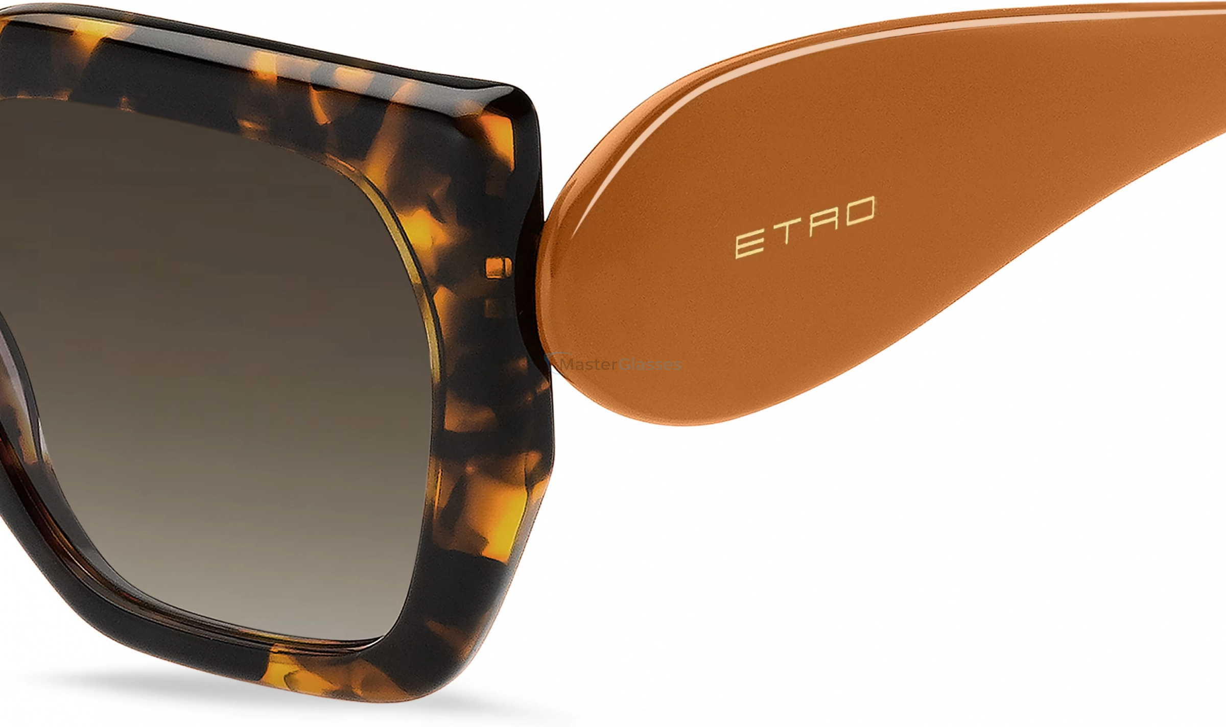 Солнцезащитные очки ETRO 0054/S 086 Havana