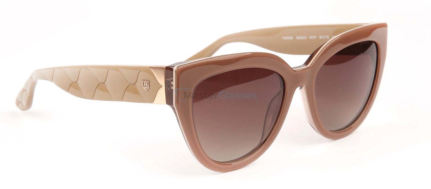 �������������� ���� Bulget BG9223 H01P