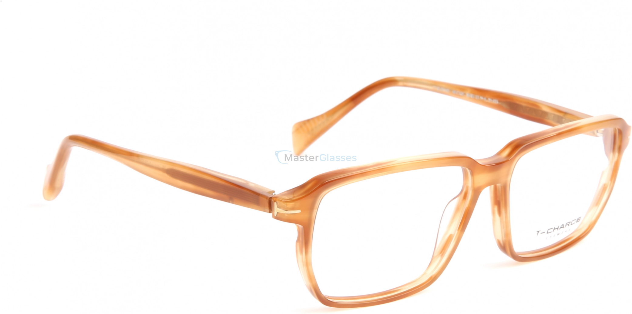 Оправа T-Charge T6318 E02